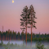 Аватарка Кира