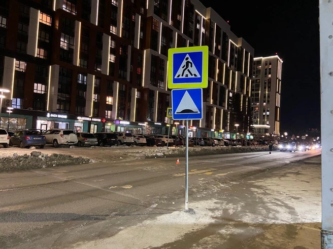 Подробности инцидента в настоящее время выясняются. | Источник: ГАИ Новосибирска