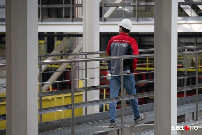 Сверху отлично видно, кто чем занимается | Источник: Евгений Вдовин / 161.RU