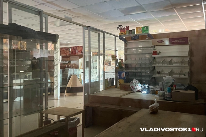 Источник: Елена Буйвол / VLADIVOSTOK1.RU