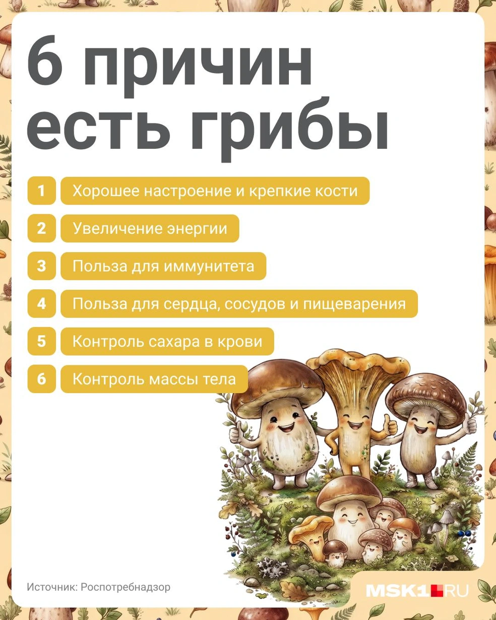 Садиться на полностью грибную диету не стоит, но добавить их в свой рацион точно не повредит | Источник: Полина Авдошина / Городские медиа