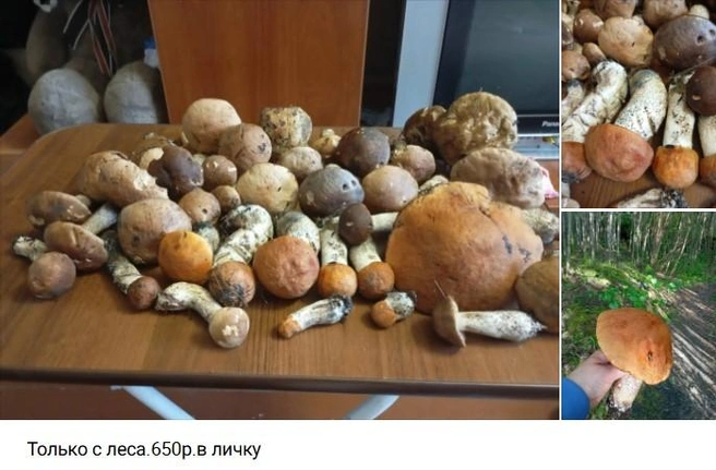Источник: Мой Рынок (Продам Куплю Отдам) / Vk.com