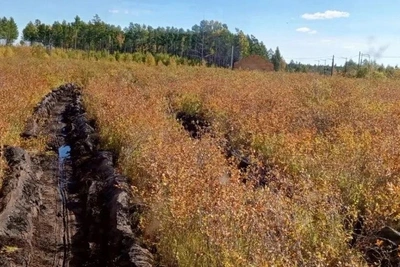 В Ивано-Арахлейском парке трактор «Беларусь» делает минполосы