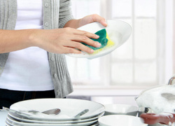 Не спешите бежать в магазин: 7 вещей, которые заменят средство для мытья посуды