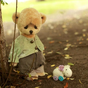 В Москве открылась выставка Hello Teddy