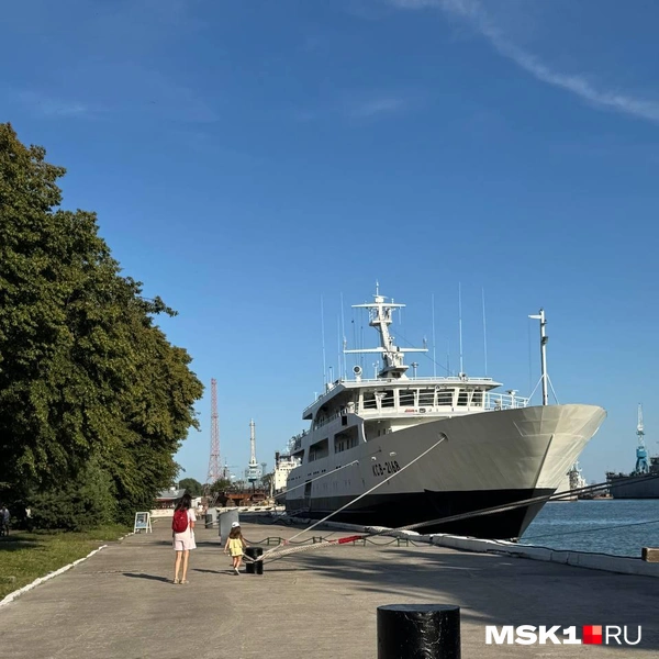 Источник: Оксана Маклакова / MSK1.RU