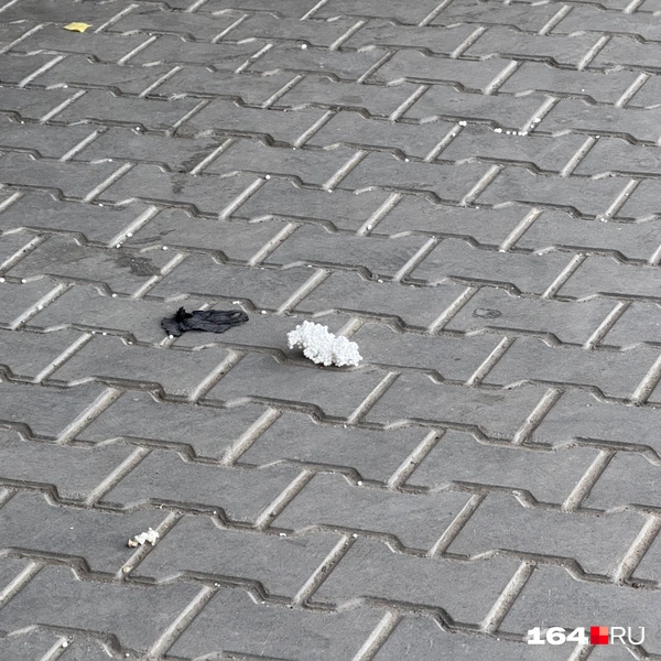 Источник: Сергей Петунин / 164.RU