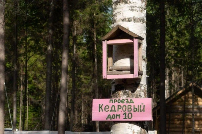 Кормушка для птиц и белочек, а под ней адресная табличка | Источник: Иван Токарев