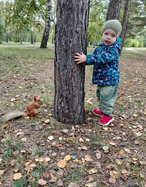 Детский конкурс «Долгожданная осень»: подводим итоги