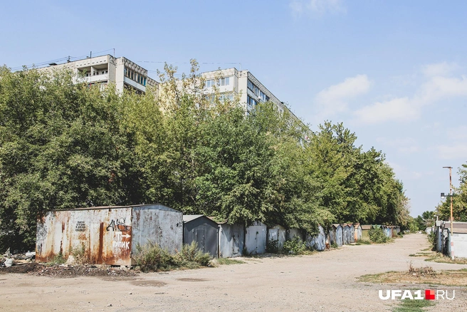 Единственный «суровый» охранник кооператива — спящая собака | Источник: Тимур Шарипкулов