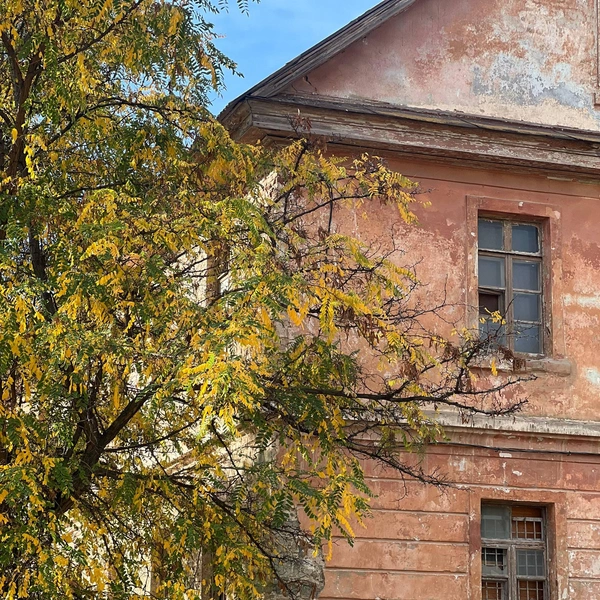 Источник: Кристиана Захаркина