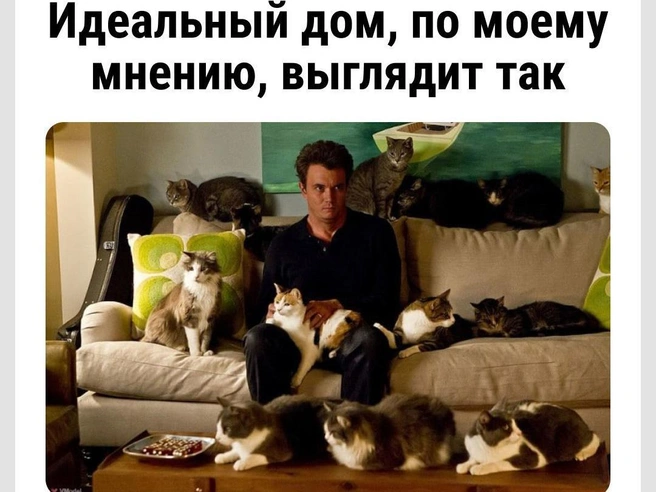 А что не так? | Источник: Городские медиа