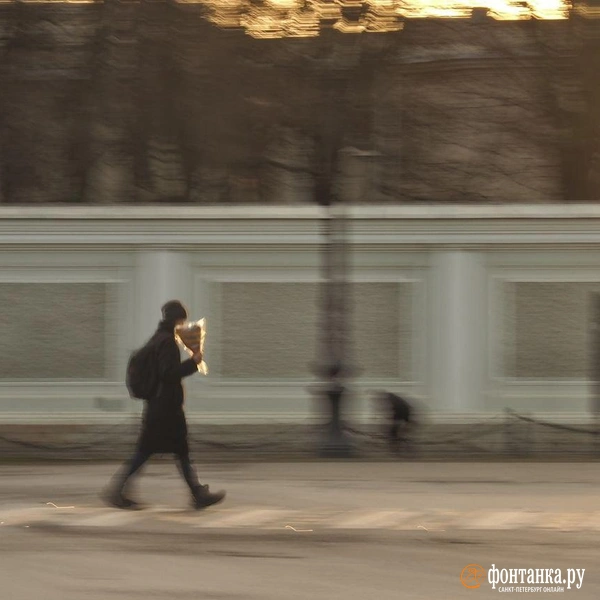 Источник: Михаил Огнев / «Фонтанка.ру»