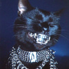 userpic__Енотик