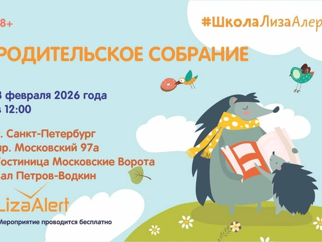 ЛизаАлерт проведет в Петербурге родительское собрание по безопасности детей | Источник: ЛизаАлерт Питер