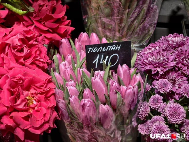 Идеальный вариант для коллег | Источник: Булат Салихов / UFA1.RU