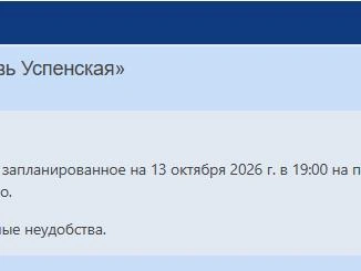 Уведомление на сайте Городских зрелищных касс появилось только сегодня | Источник: chel.kassy.ru