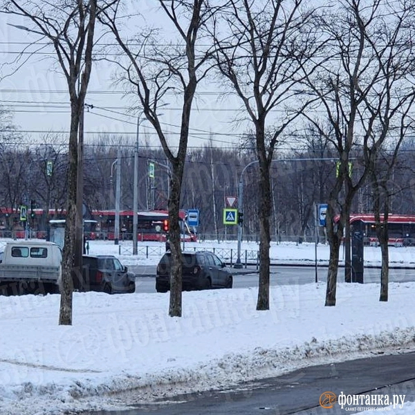 «Люди пешком пошли». На Петергофском шоссе — очередь из трамваев | Источник: читатель «Фонтанки» 