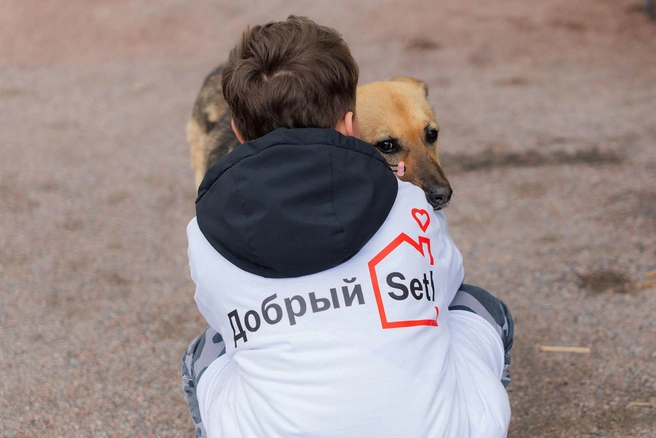 Источник: Пресс-служба Setl Group