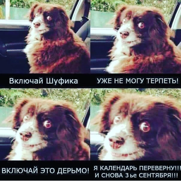 Источник: Соцсети