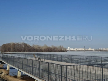 Источник: Алёна Воропаева / Voronezh1.ru