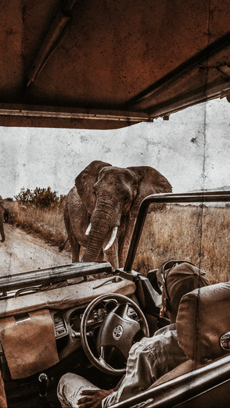 Аромат дня: Reflet sur L’Okavango от Ella K