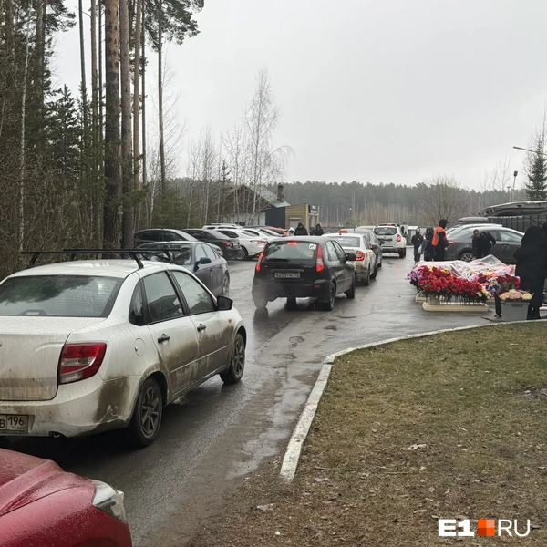 Источник: Дарья Манохина / E1.RU