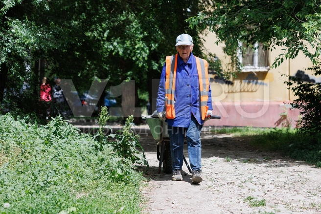 Через дорогу работники коммунальных служб устраняют последствия | Источник: Алексей Волхонский / V1.RU