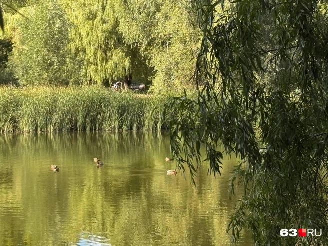 У воды на Воронежских озерах получаются потрясающие фото | Источник: Ксения Бирюкова / 63.RU
