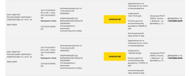 Некоторые из долгов | Источник: fssp.gov.ru