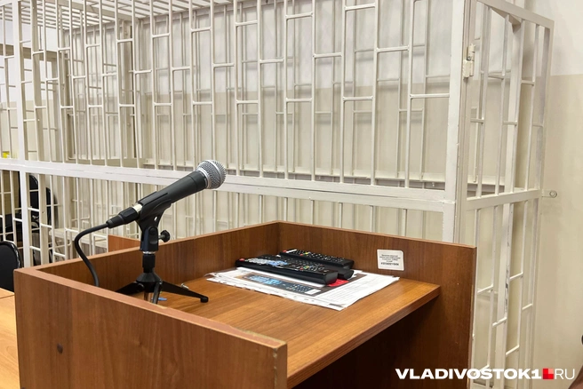 Осужденные могут подать апелляцию | Источник: Елена Буйвол / VLADIVOSTOK1.RU