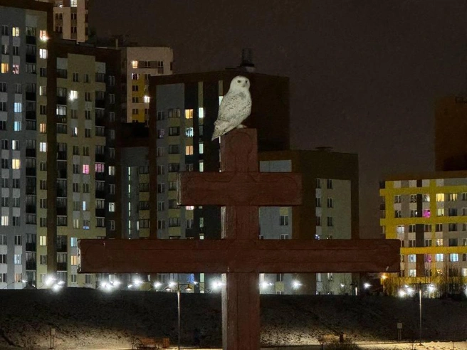 Источник: читатель E1.RU