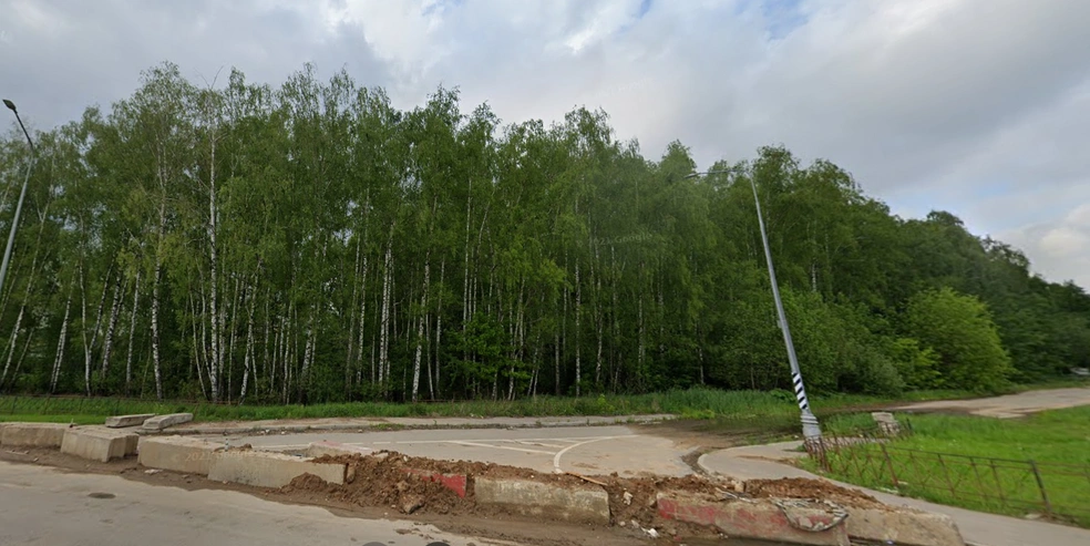 На месте этой березовой рощи появится дорога | Источник: Google Maps