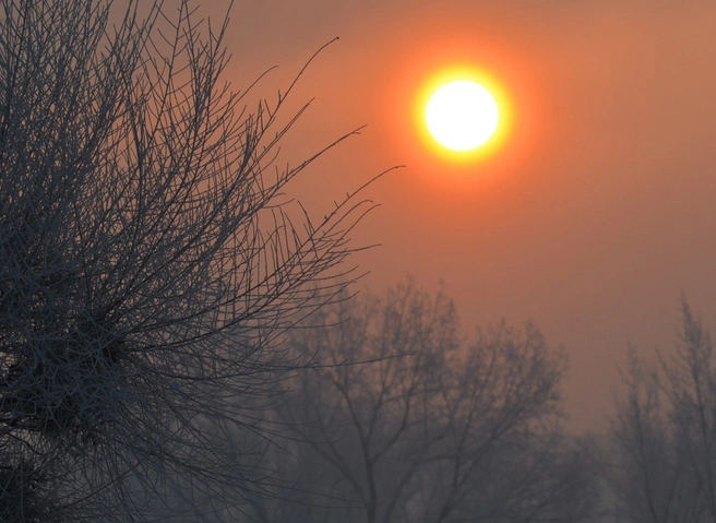 К Рождеству температура воздуха в Рязани опустится до -24 °C | 62.ru