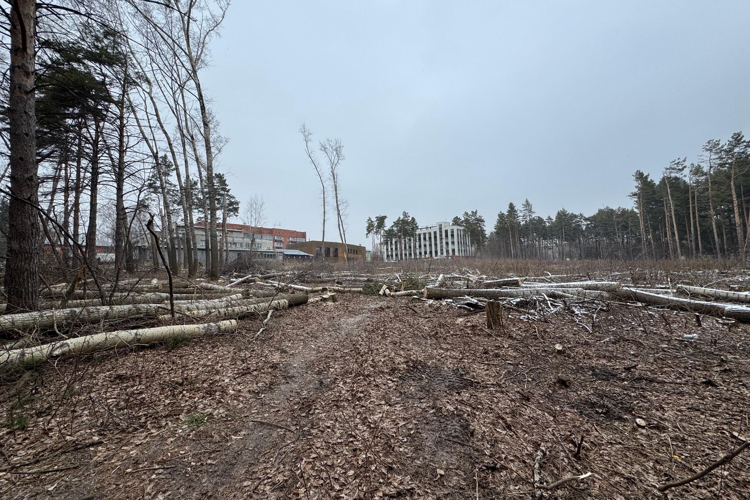 Участок леса на Бардина в Новосибирске получила компания, которая застроила клуб «Отдых»