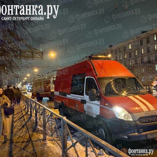 Источник: Дарья Драй / «Фонтанка.ру»