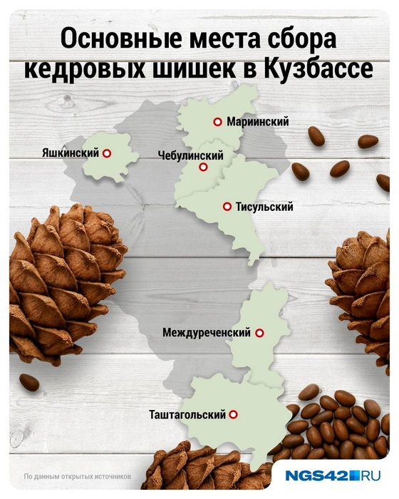 Источник: Дмитрий Гладышев / Городские медиа