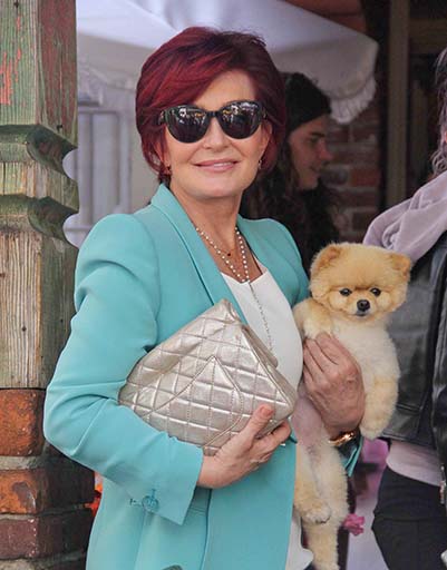 Шэрон Осборн решилась на операцию по удалению грудей в качестве превентивной меры | Источник: Alloverpress