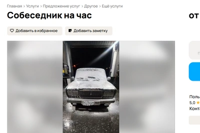 В Самаре появилась услуга «Собеседник на час» за 1000 рублей