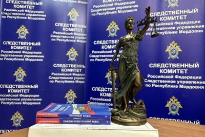 Саранчанин получил срок за нападение с ножом