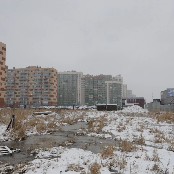 Источник: АКЦИОНЕРНОЕ ОБЩЕСТВО «РОССИЙСКИЙ АУКЦИОННЫЙ ДОМ»