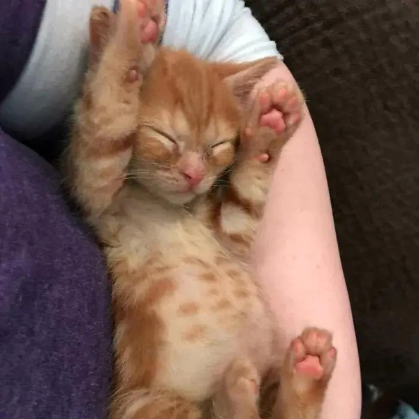 Источник: соцсети