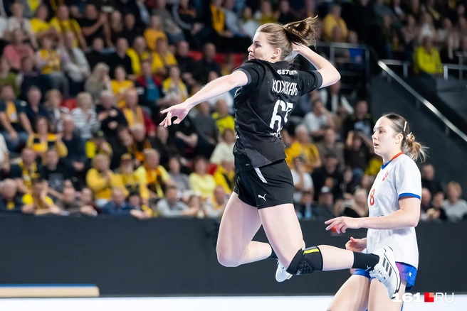 Источник: Евгений Вдовин / 161.RU