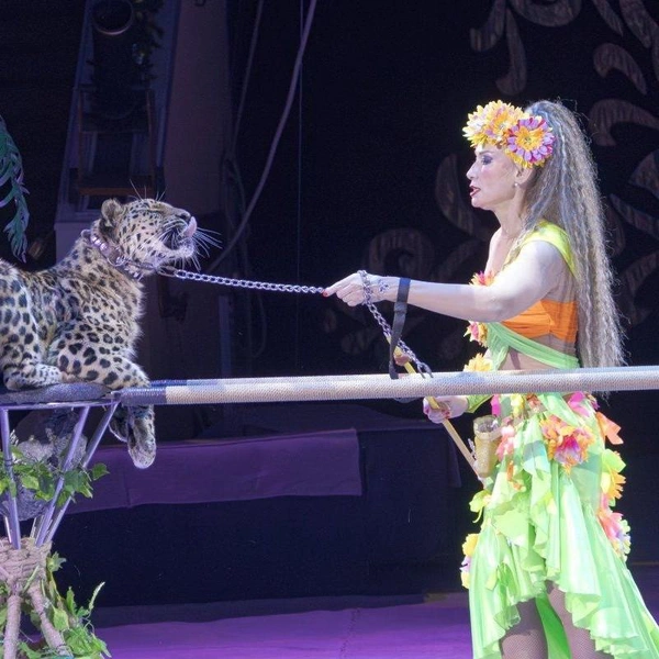 Источник: Рязанский государственный цирк