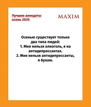 Самые смешные анекдоты за осень 2025 года