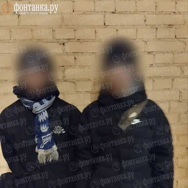 Источник: «Фонтанка.ру»