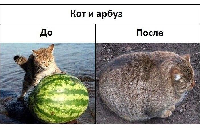 Немного арбузов вам в ленту :-) Здравствуйте, уважаемые, Приятного, времени, суток