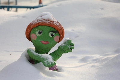 МЧС предупредило рязанцев о сильных морозах 3 февраля