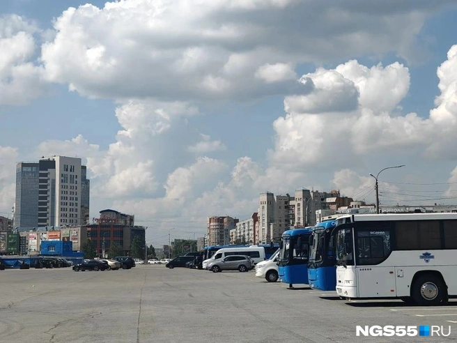 Автобусы развозили участков по гостиницам | Источник: Ксения Сушко / NGS55.RU