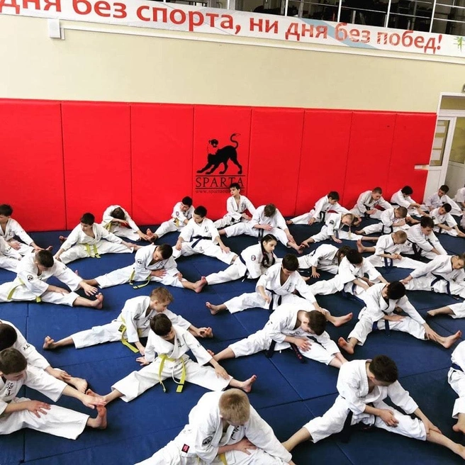 Девиз этого спорта: кудо&nbsp;— реальнее только жизнь! | Источник: kudo.ru